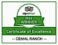 Certificate of Excellence Winner 2016 Cemal Ranch