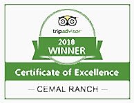 Certificate of Excellence Winner 2018 Cemal Ranch