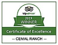 Certificate of Excellence Winner 2019 Cemal Ranch